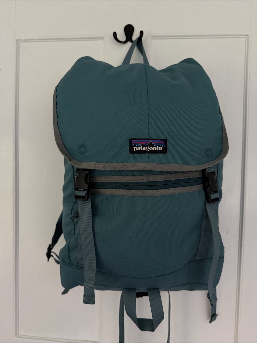 Patagonia Teal Arbor 25L Roll-Top Backpack